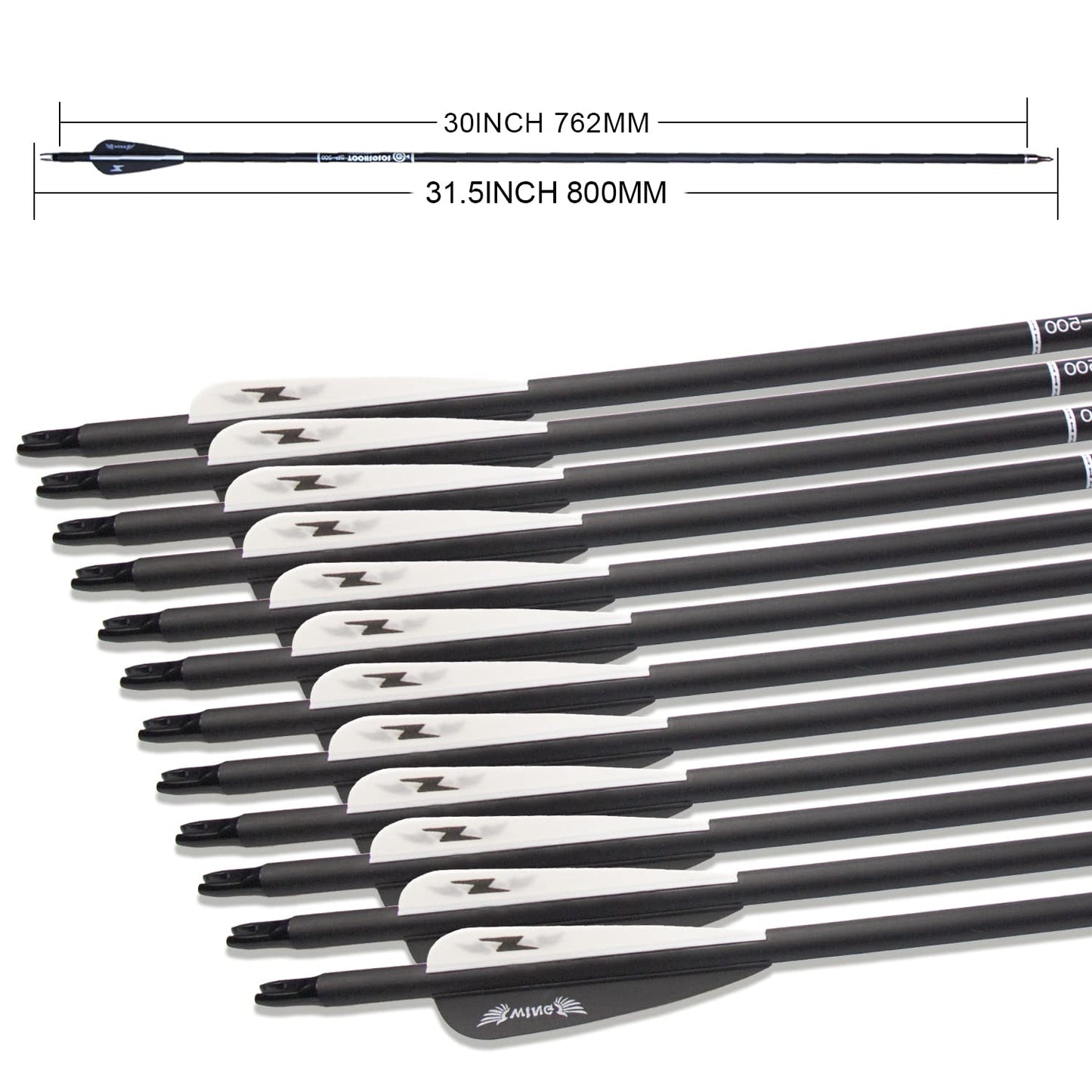 e5e10 31inch Carbon Arrow Archery Targeting Practice Hunting Arrows for Compound & Recurve Bow with Removable Tips(Pack of 12) (Black White)