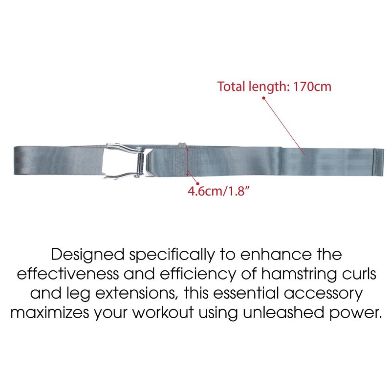 Leg Extension Seatbelt for Gym Lifting, Nordic Hamstring Curl Strap on Bench, 5.6ft L, Buckle Squat Collar for Workouts Machine Home Exercise Fitness Assisted Muscles Achieve Stability Women Men, Grey