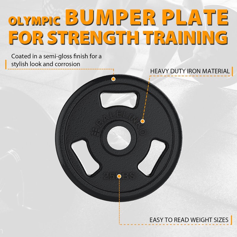 Balelinko Cast Iron 2-Inch Olympic Grip Plate Weight Plate for Strength Training, Weightlifting and Crossfit in Pair, 10LB, Black