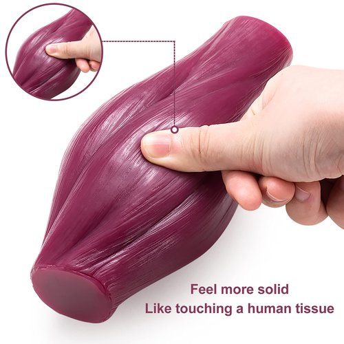 Human Body Muscle Replica Model - 1 lb to Keep Fit & Fitness Encouragement for Fitness Enthusiast, Nutritionist, Athlete