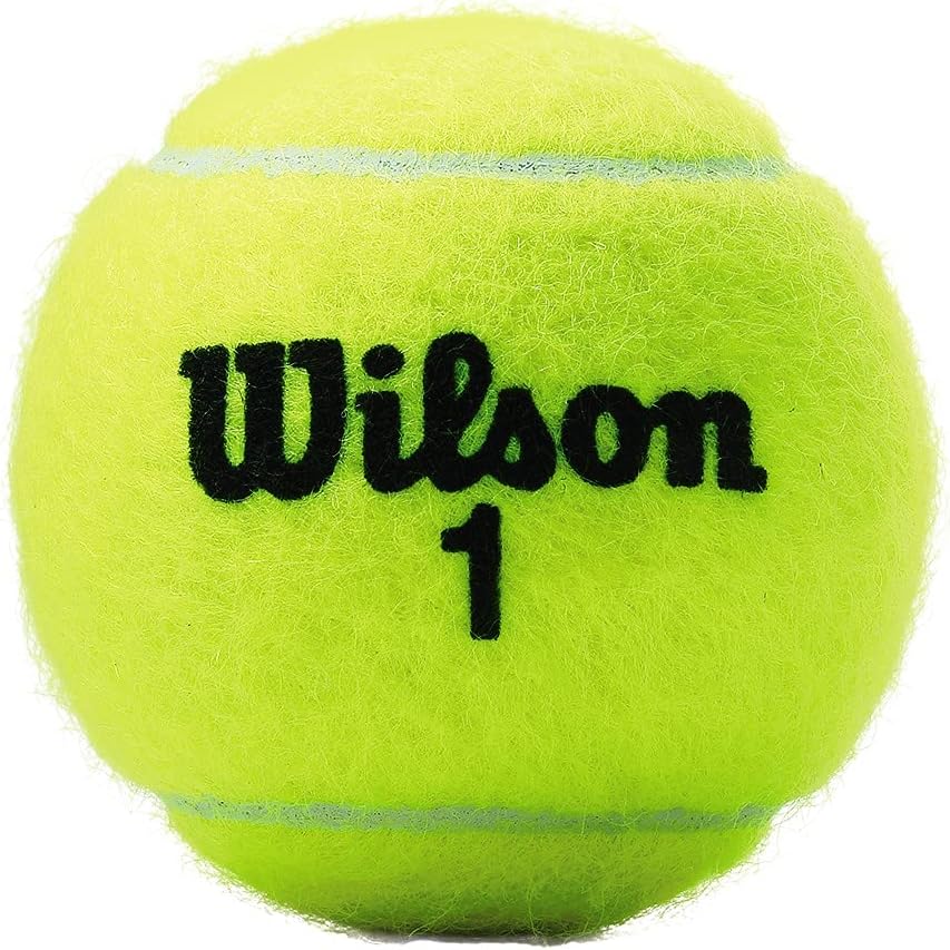 WILSON Championship Tennis Balls - High Performance, Durable & Consistent | Ideal for All Skill Levels