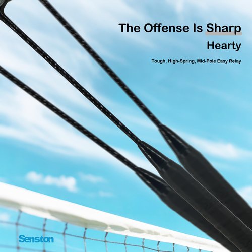 Senston Carbon-Fiber Badminton Racket 5U Badminton Racquet, Single Professional Badminton Rackets (N80 Black)