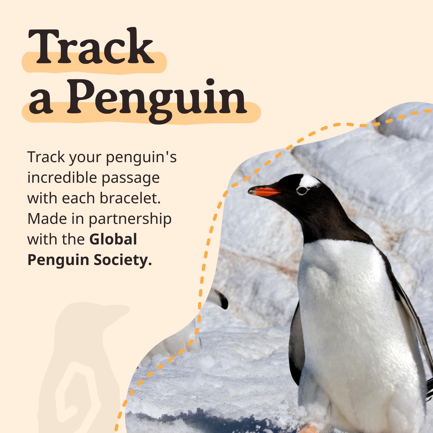 Fahlo Penguin Tracking Bracelet – Track a Real Penguin’s Journey – Supports Wildlife Conservation – Elastic, One Size Fits Most – on Interactive Mobile App Map – Unisex Conservation Gift (Seafoam)