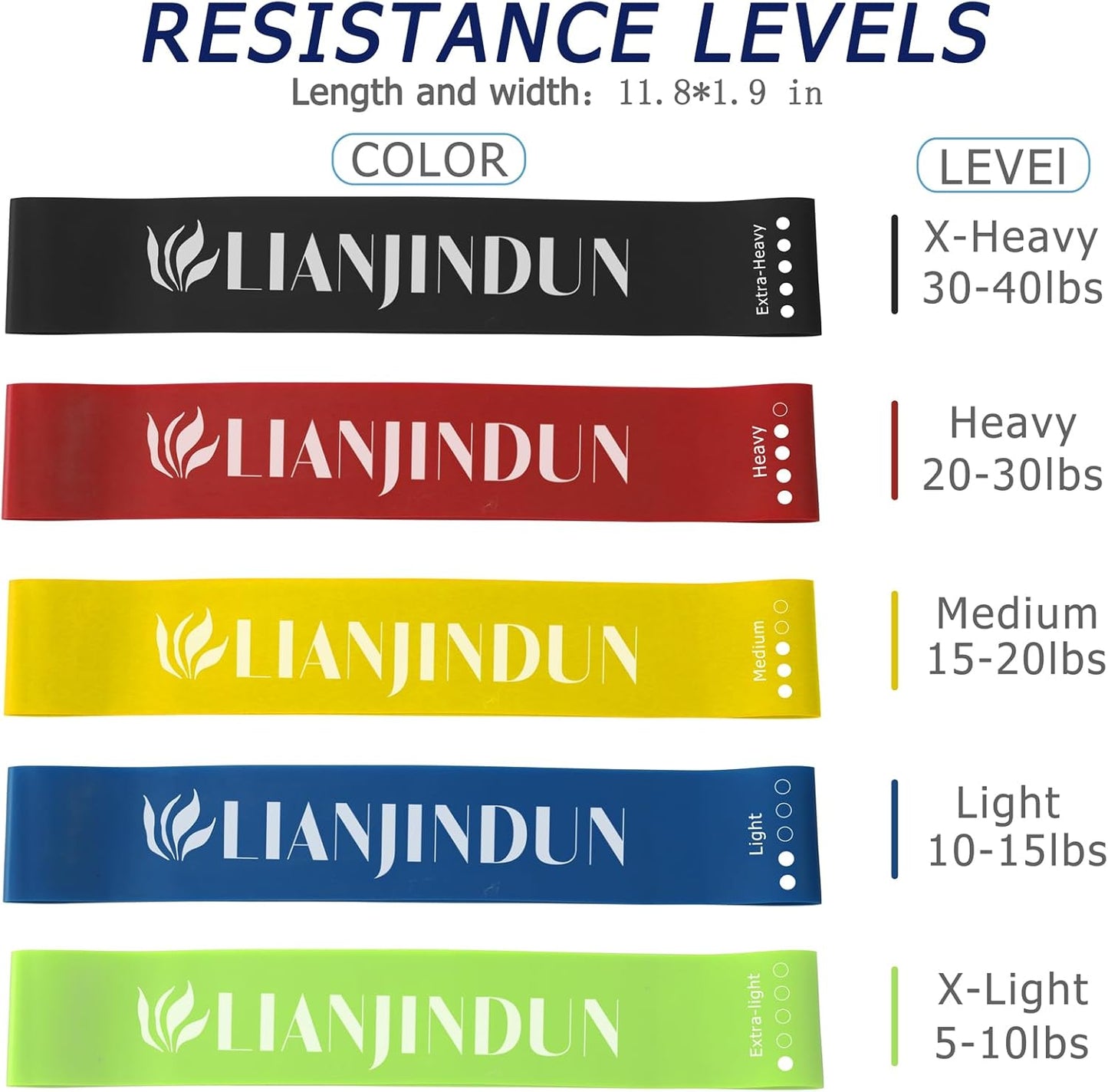 Skiennix Professional Resistance Bands - Set of 10 for Strength Training & Flexibility