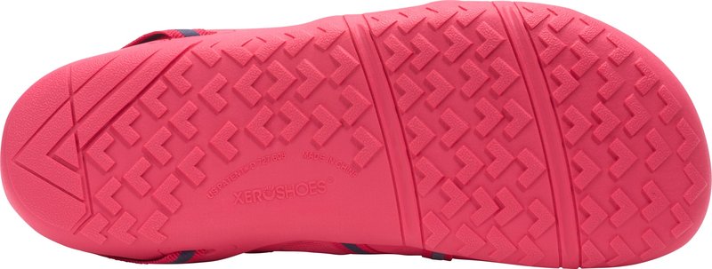 Xero Shoes Women's Speed Force II Barefoot Running Shoe, Raspberry/Evening Blue, 8