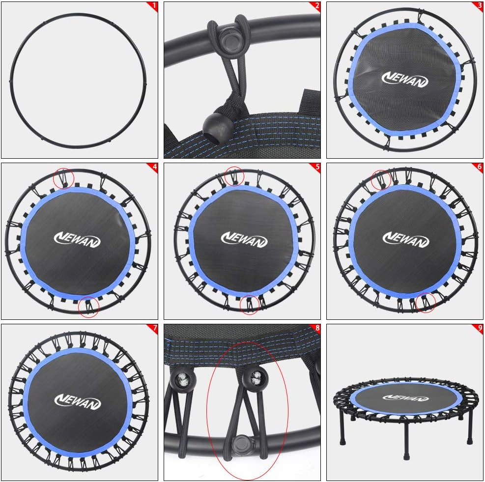 Newan Silent Mini Trampoline - 40"-48" Bungee Rebounder for Cardio Workouts | Max Weight 330lbs