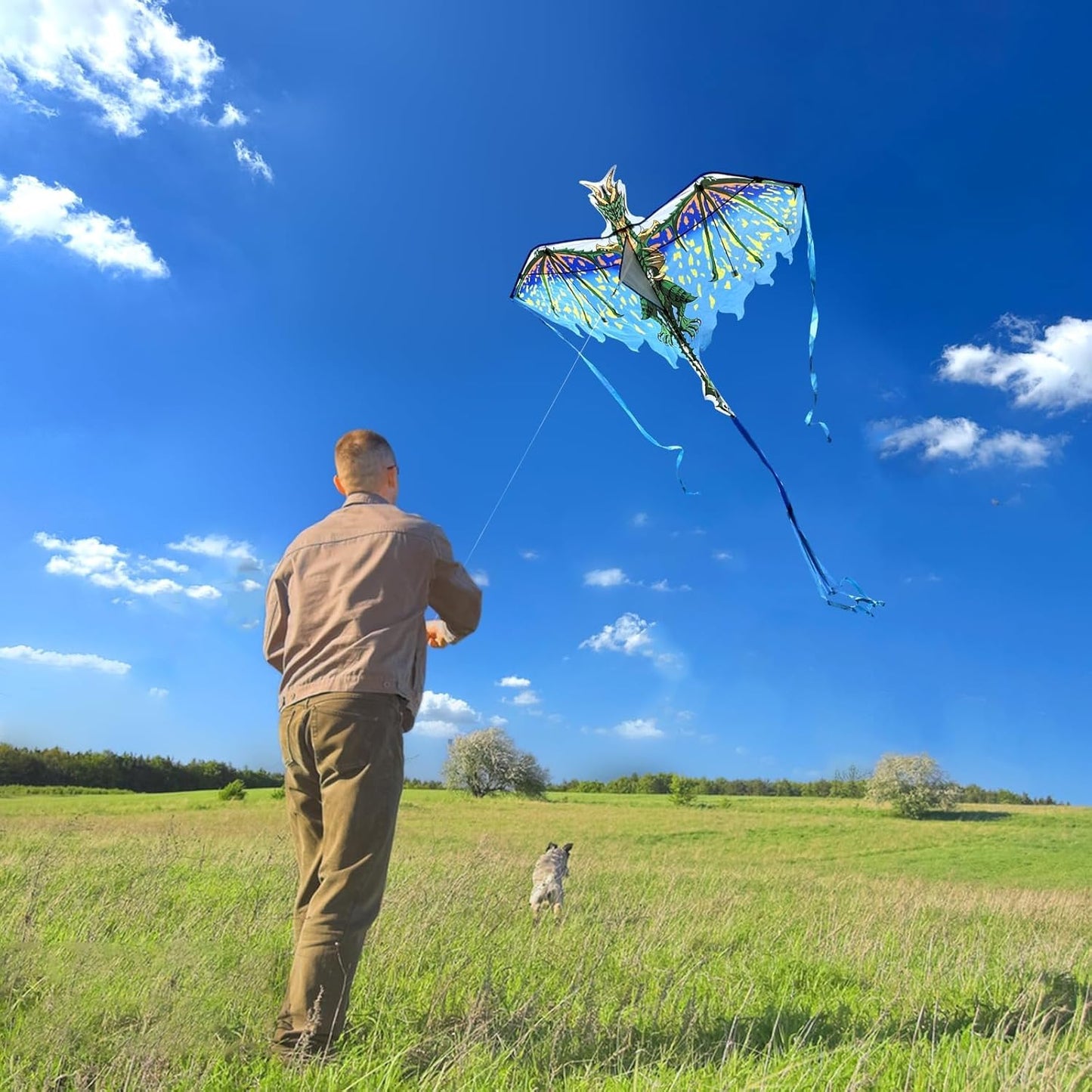 Mint's Colorful Life Dragon Kite - Easy to Fly for Kids & Adults | 300ft Kite String Included