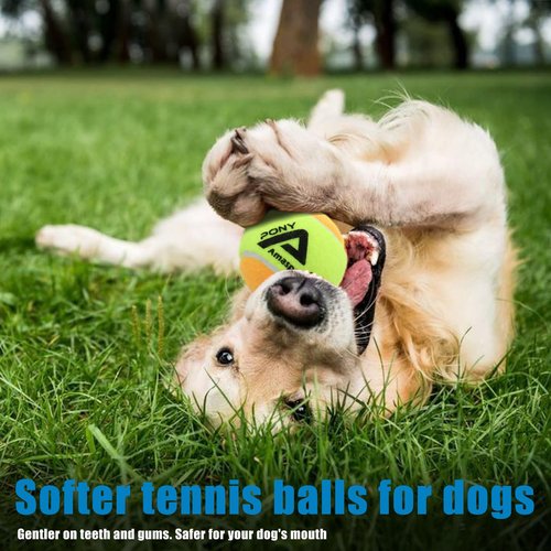 LITIAN 12 Pack Practice Tennis Balls – 50% Slower Orange Tennis Balls for Beginners – Extra Soft, Low Bounce – Great for Dog Play & Outdoor Practice