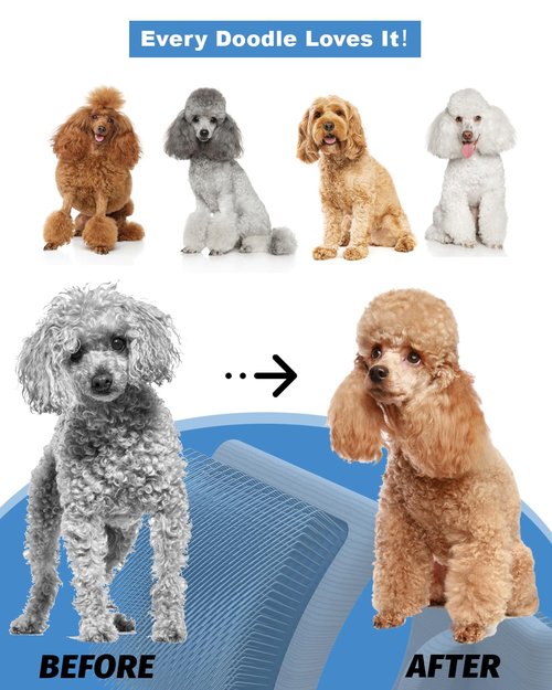 Dog Slicker Brush - Professional Grooming Tool for Large Doodles | Easy Tangle Removal, 3.8"x3.2" Head