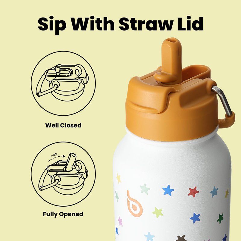 BOTTLE BOTTLE 32oz Insulated Water Bottle Stainless Steel Sport Water Bottle with Straw Dual-use Lid Design for Gym with Pill Box (Stellar Pop)