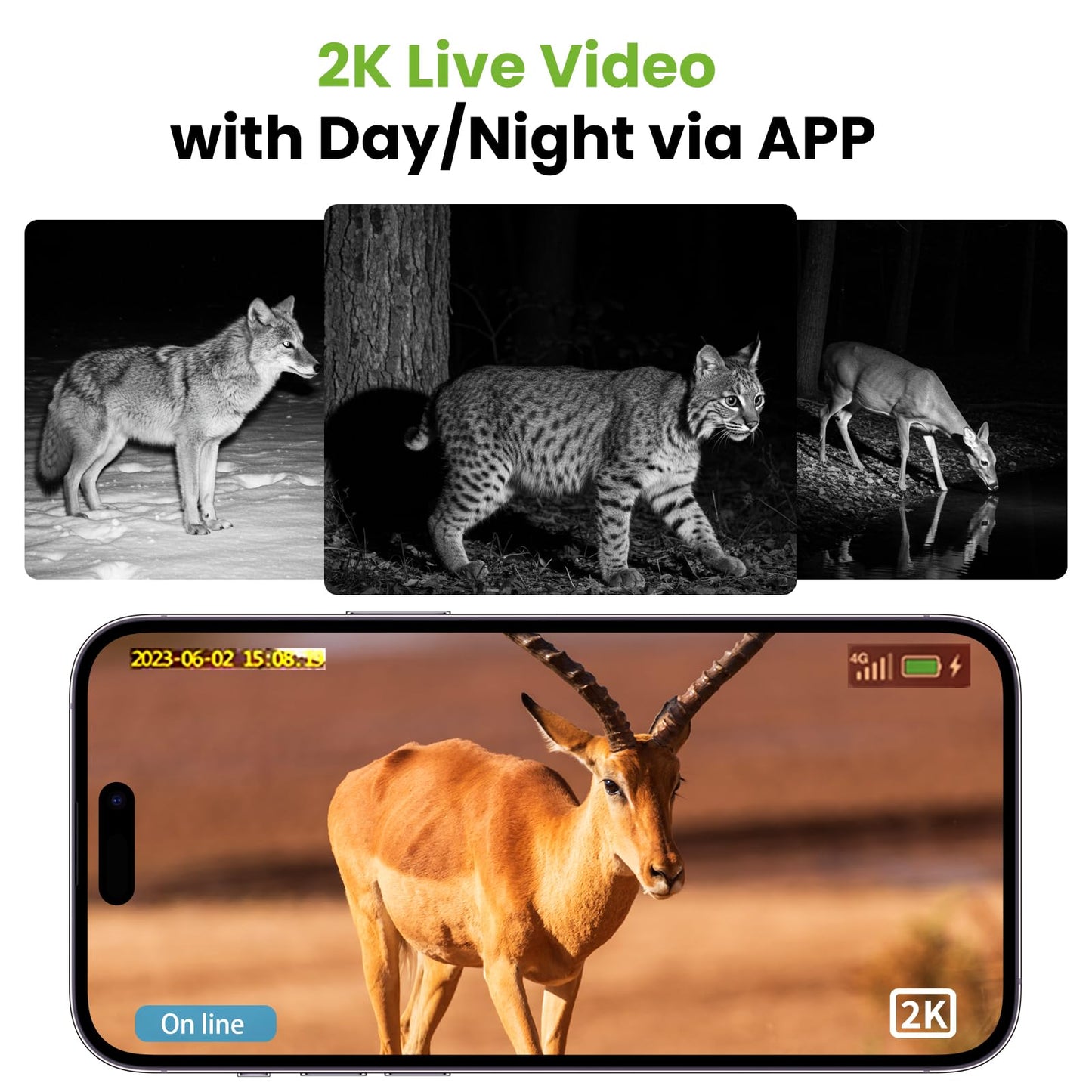 4G LTE Smart Trail Camera,HD Night Vision, IP65 Waterproof, 0.3s Trigger Speed, 2K Live Video & Photo, Motion Capture,Hunting Cam with SIM Card,Solar Power Charging,APP Control.