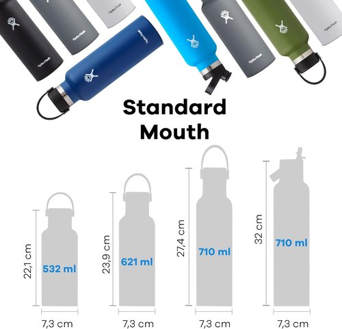 Hydro Flask Water Bottle - Insulated Stainless Steel - Leakproof & Non-Spill, 21 Oz Stone