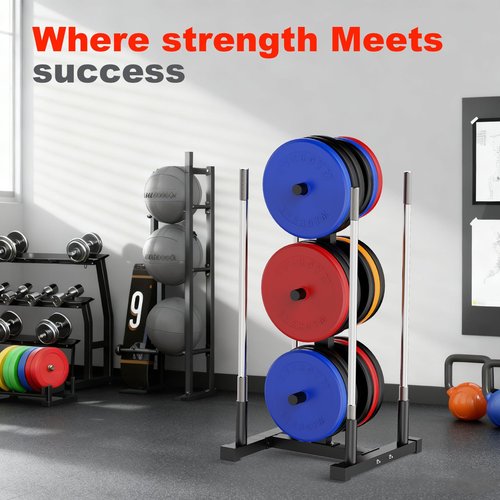 Weight Plate Rack for Home Gym - 6 Post Olympic Plate Holder with Wide Stability Base, Barbell Storage & Bumper Plate Tree Organizer, Heavy Duty Space Saving Gym Equipment