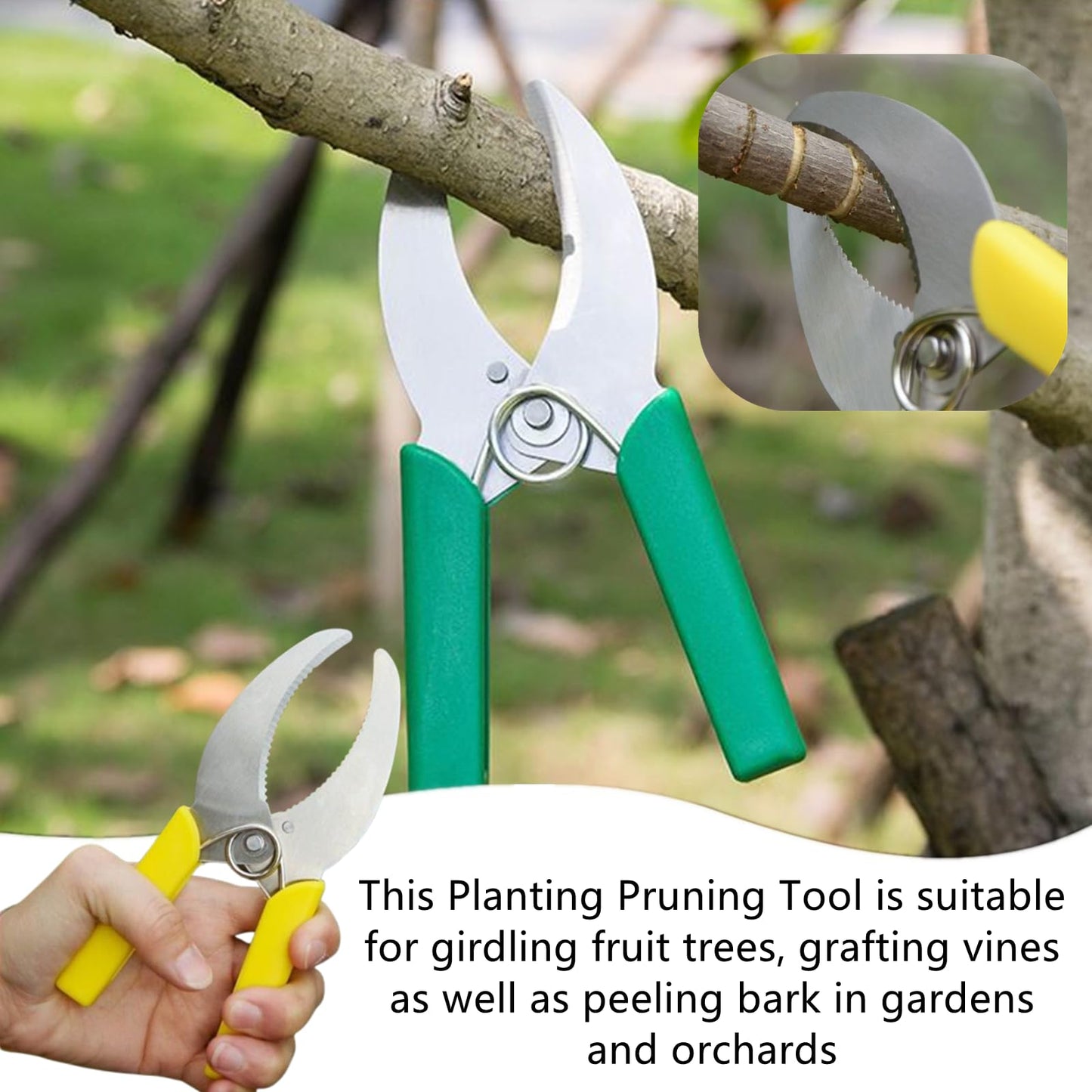 FJYXCHENXM 2 PCS Ring Barking Cutter Scissor Professional Grafting Tool Plant Cutters Girdling Shear Garden Tree Ring Cutter for Potted Plant Fruit Tree Orchard