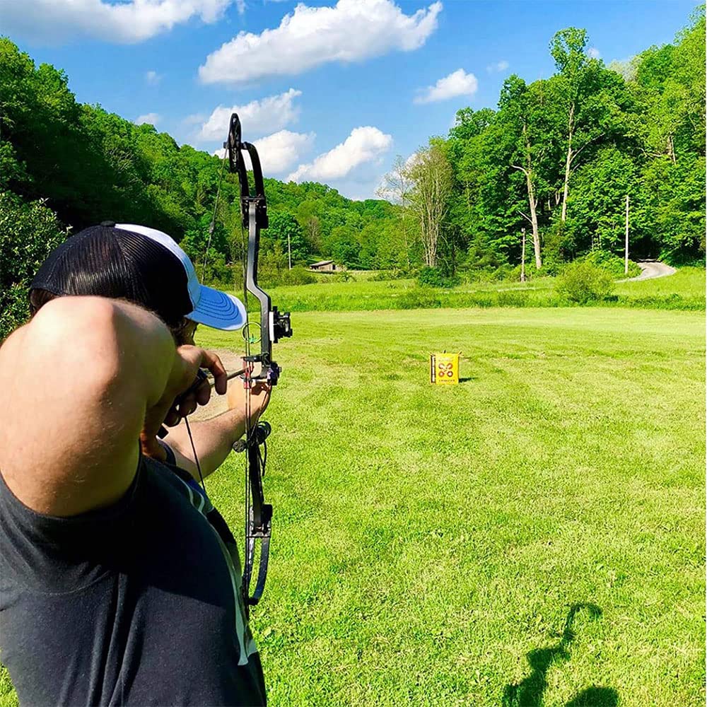 Morrell 2 Pack Field Point Archery Bag, Yellow Jacket Stinger Target for Adults with 2 Shooting Sides, 10 Bullseyes, & Carry Handle - 19 Pounds