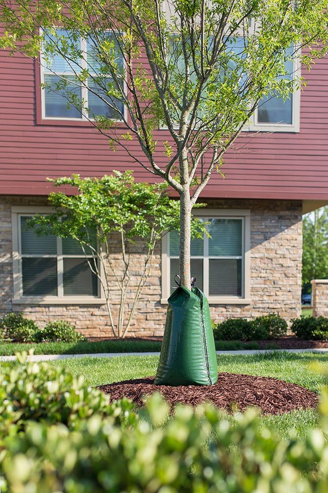 Treegator Original Watering Bag - Slow Release Irrigation for New & Established Trees | Fits 1-8 Inch Trunks - Green