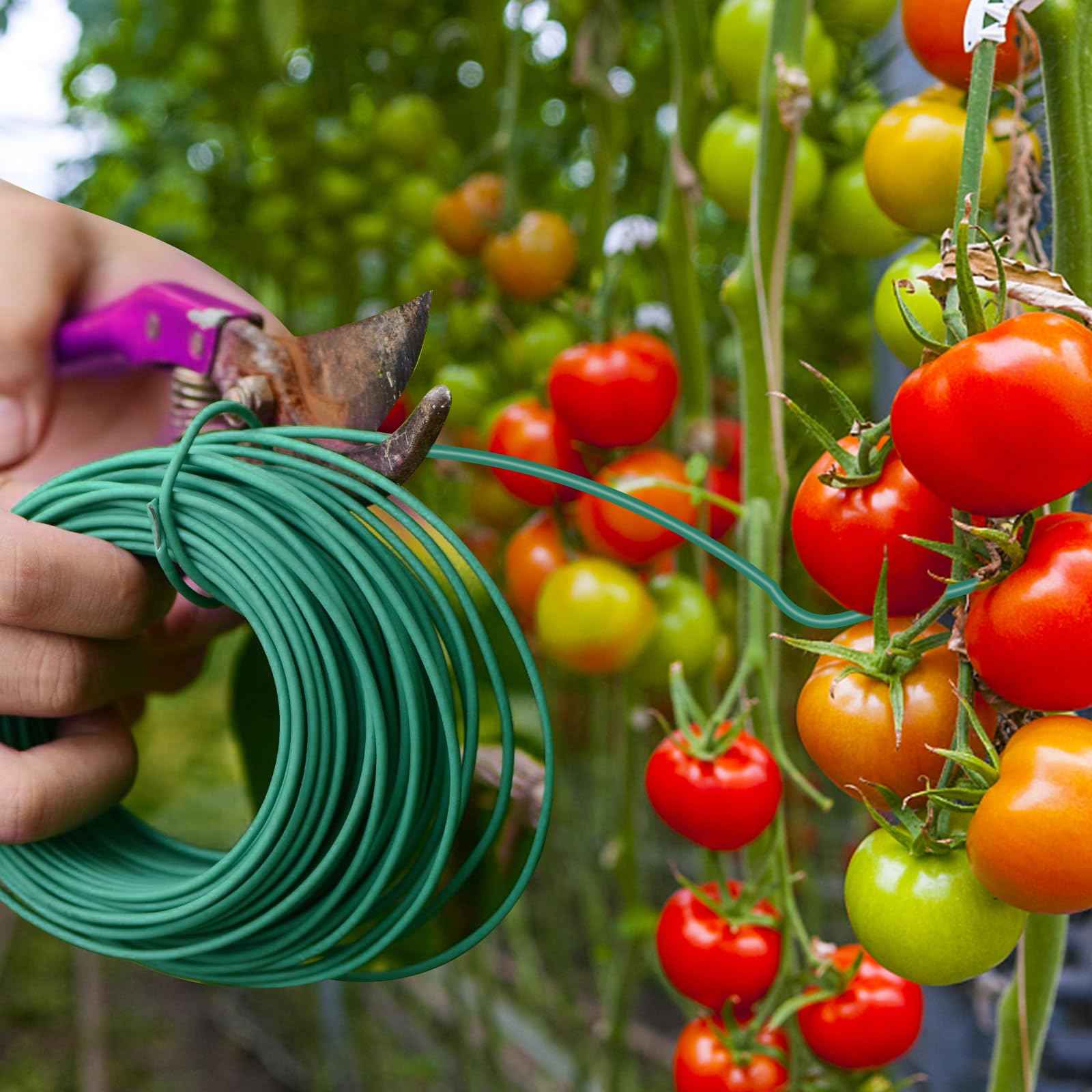 YDSL 100 Feet Soft Tie for Plants, 3 Pack Green Twist Garden Ties Gardening Supplies for Supporting Climbing Plants, Tomatoes, Vegetables, (Diameter - 2.5MM)