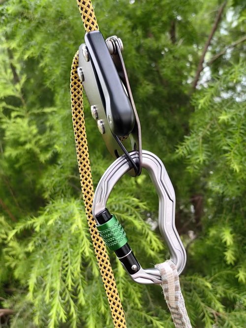 CE Certified 30KN Screwgate Locking Climbing Carabiner Clip Lock Heavy Duty Carabiner for Rock Climbing Hammocks Rappelling Rescue and Hunting D-Shaped