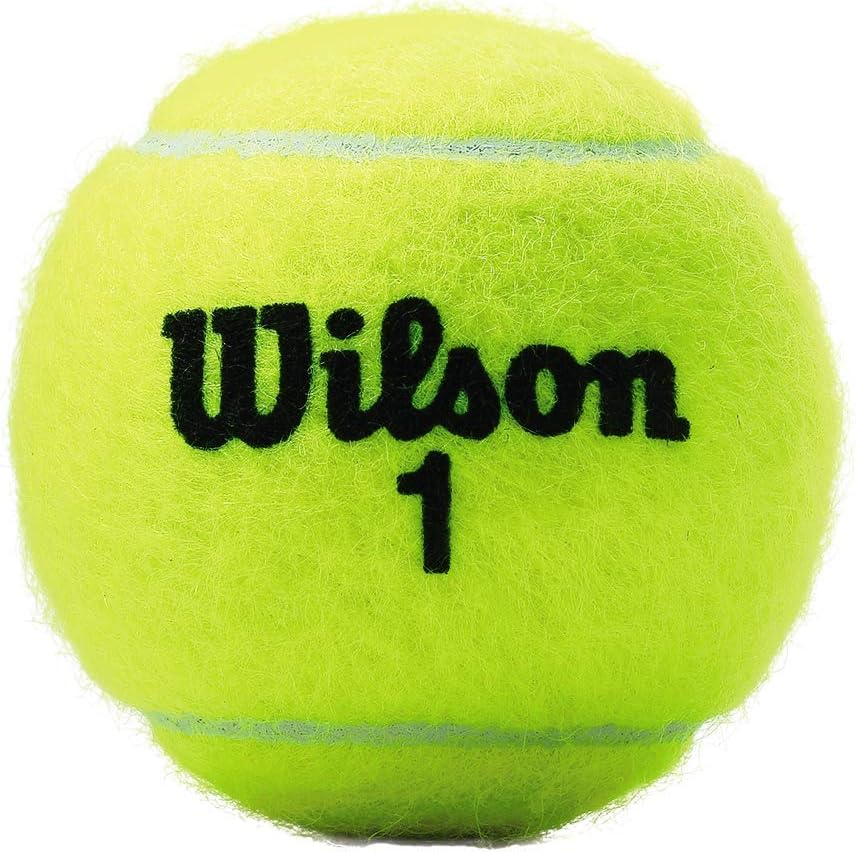 WILSON Championship Tennis Balls - High Performance, Durable Felt - 3 Pack