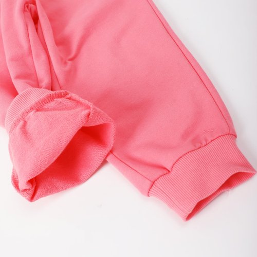 HILEELANG Toddler Girls Cotton Joggers Sweatpants Floral Embroidery Drawstring Waist and Pockets-Pink Blue Casual Athletic Pants for Kids 3Y