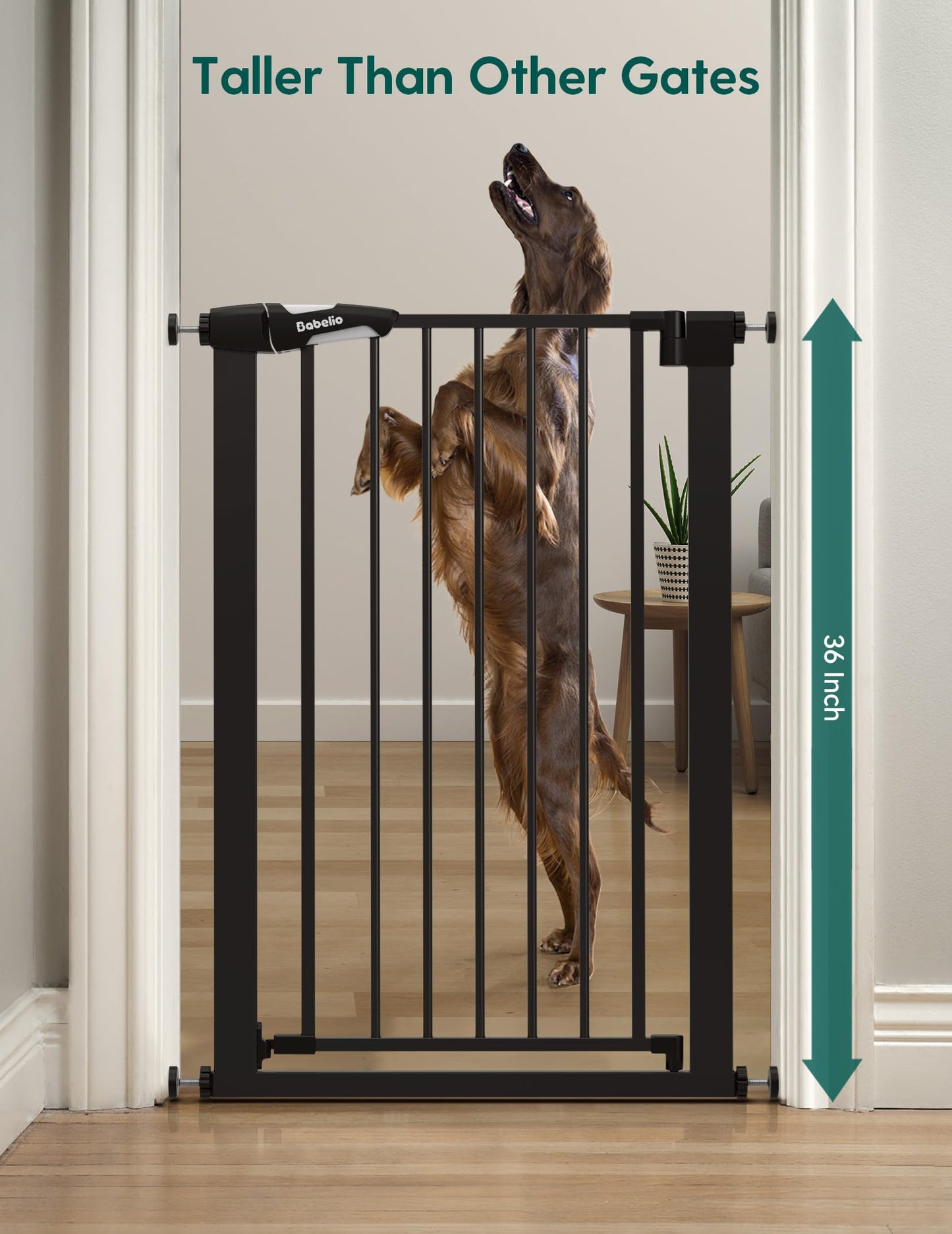 BABELIO 36" Tall Narrow Baby Gate, 26-28.5" Auto-Close Metal Pet Gate for Small Stairs/Doorways/Hallways, NO Drilling Pressure Mounted for Child and Pets, NO Extensions, Black