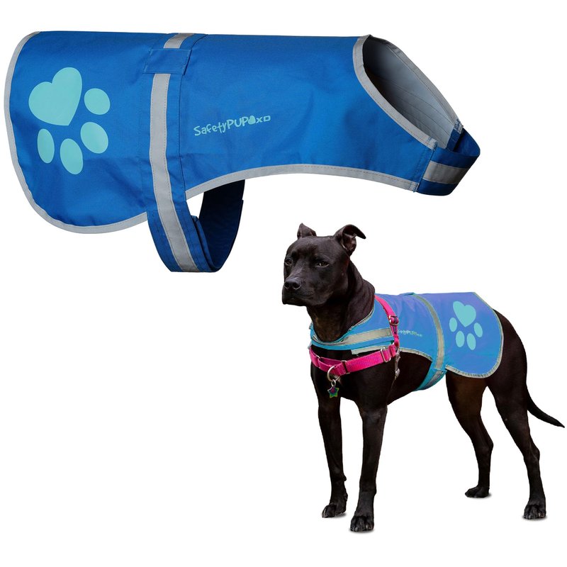 SafetyPUP XD Dog Reflective Vest – Hi-Vis Fluorescent Visibility that Helps to Safeguard Your Pet On/Off Leash in Urban & Rural Areas (Teal, Large)