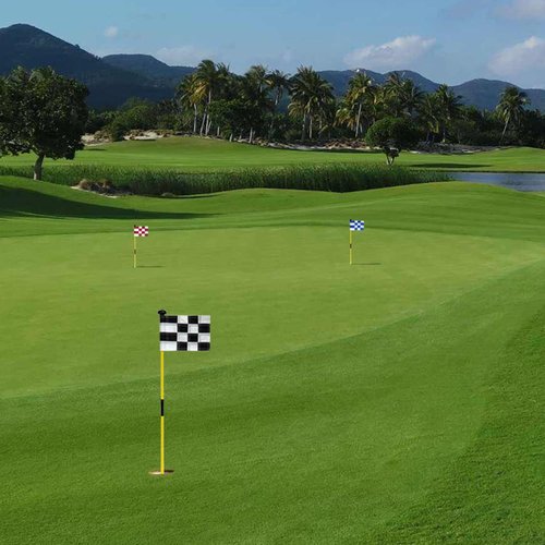 Checkered Golf Flags with Tube Inserted,8” L x 6”H Mini Putting Green Flags for Yard Indoor Outdoor Backyard Garden, 420D Nylon Pin Flag (Blue/White,3sets)