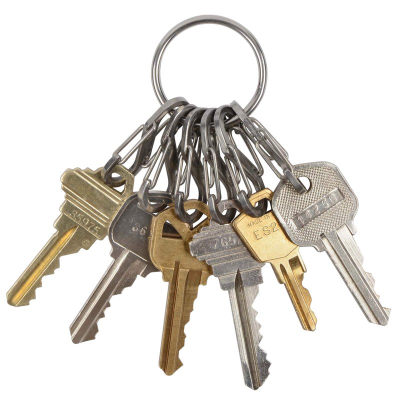 Nite Ize - NI-KRGS-11-R3_Silber Key Ring Steel S-Biner, Stainless Steel Key Chain Ring with 6 Stainless Steel Key-Holding S-Biners