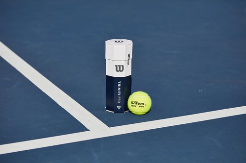WILSON Triniti Pro Tennis Balls - 3 Balls, Yellow