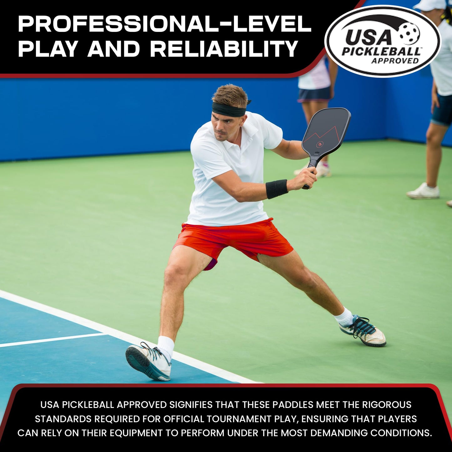 Precision Pro Carbon Fiber Pickleball Paddles Set of 2 — USAPA Approved, T700 Carbon, 14mm Honeycomb Core, 4 Indoor Outdoor Balls, Carry Bag, Pickleball Set for Beginners and Intermediate Players