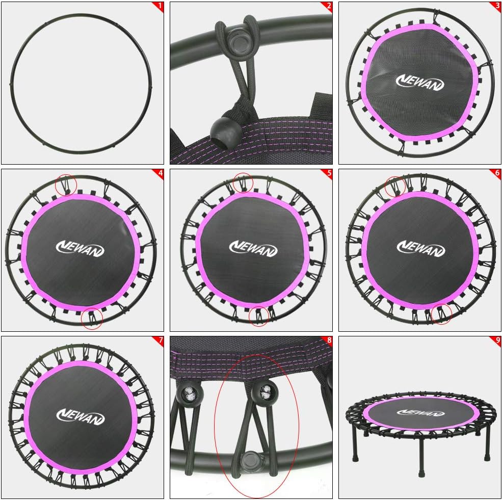 Newan Silent Mini Trampoline - 40"-48" Fitness Bungee Rebounder for Adults | Max Weight 330lbs
