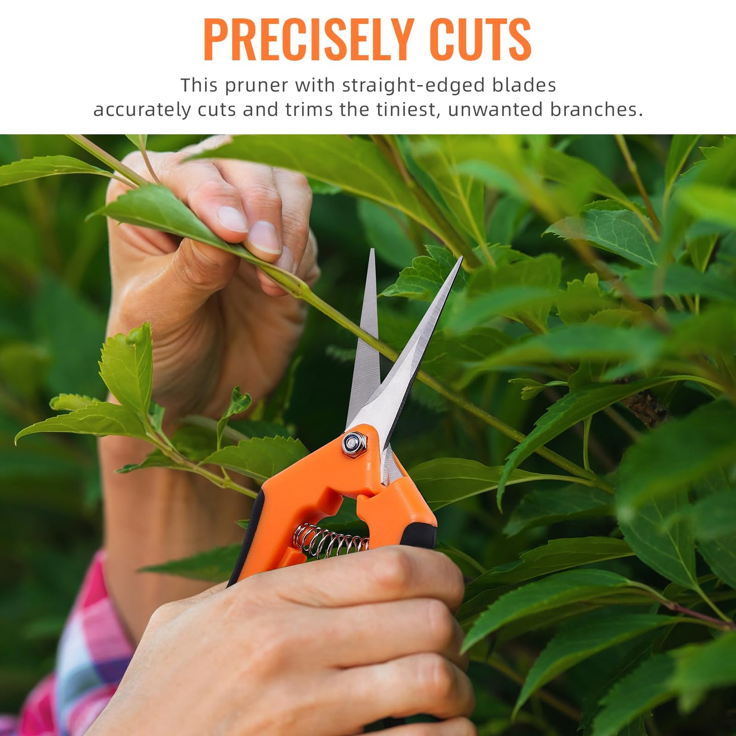 BEoffer 4 Pack Pruning Shears, 6.5 Inch Garden Scissors Gardening Hand Pruning Snips with Straight Stainless Steel Precision Blades for Gardening Flower Plant Precise Trimming and Pruning Maintenance