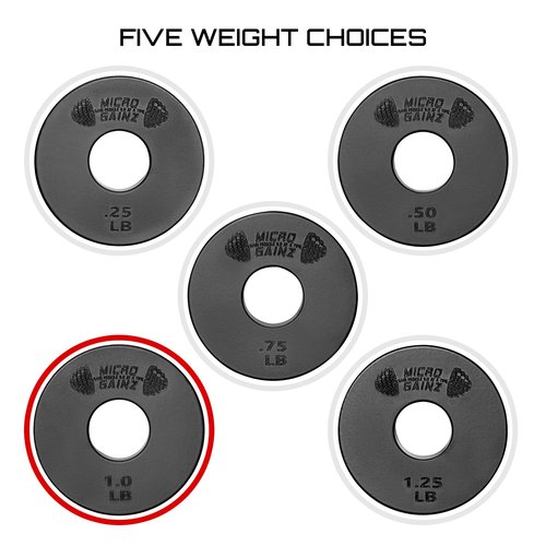 Micro Gainz Standard 1-Inch Center Hole Weight Plates, Set of 2 Black Fractional Plates Choose Set (.25LB-1.25LB), Designed for Standard 1-inch Barbells & Dumbbells, Made In USA (1 lb)
