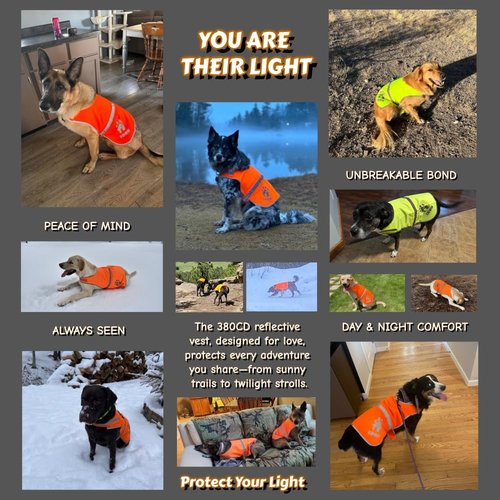 IDOU Reflective Dog Vest Plus, Enhanced 380CD Blaze Orange Safety Vest for Dogs, Adjustable for Walking, Jogging, Hunting - Size L