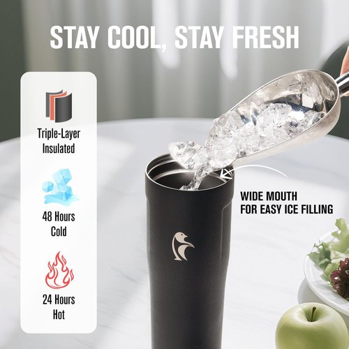 Coolflask 32 oz Water Bottle - Slim Stainless Steel Tumbler with Straw & Handle | Leakproof, Black
