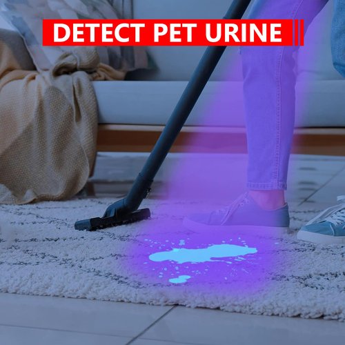 XINFEIBEI UV Black Light Flashlight, Single Mode 395nm Pocket Pen Light Flashlight for Leak, Pet Urine, Scorpion, 5-Pack