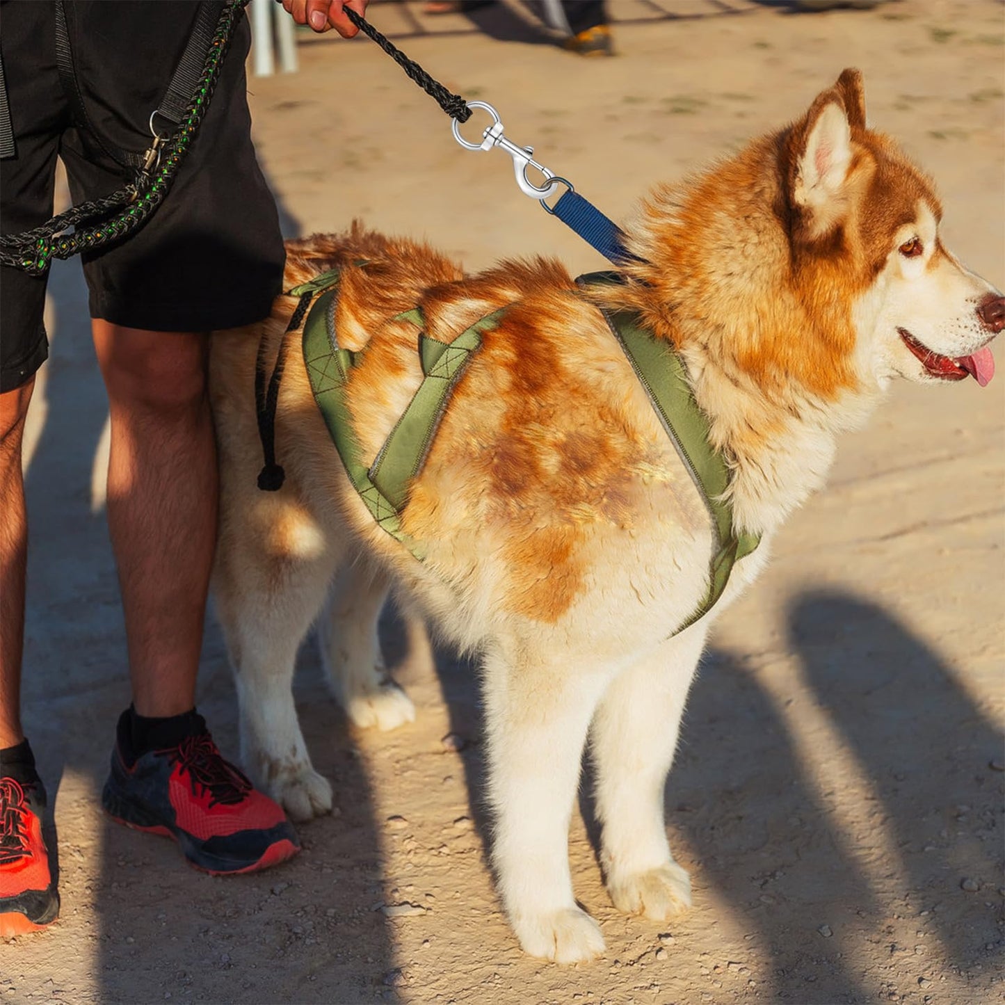 Swivel Eye Bolt Snap Hooks Dog Leash Clip Leash Clasp Large Heavy Duty 4.7 Inch 2 pcs