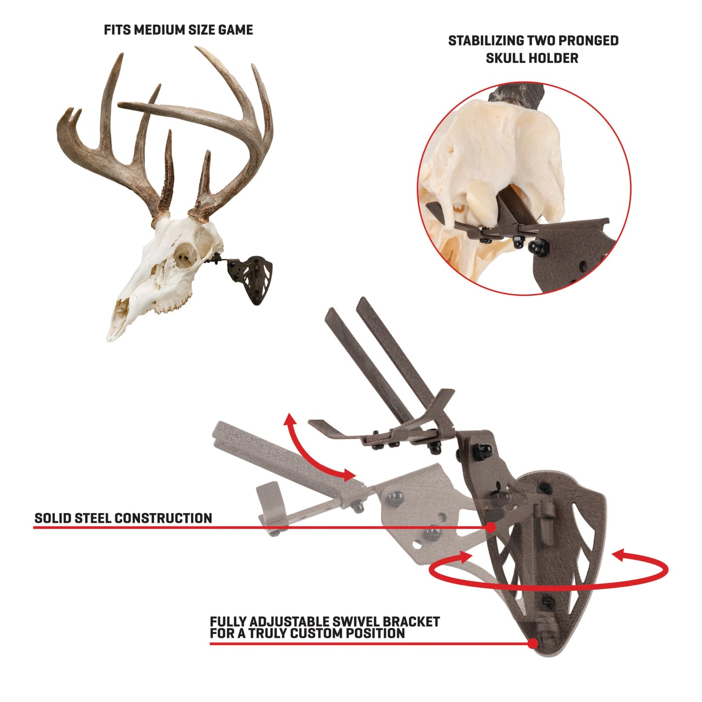 Allen Company EZ Mount Trophy Skull Hanger, Brown
