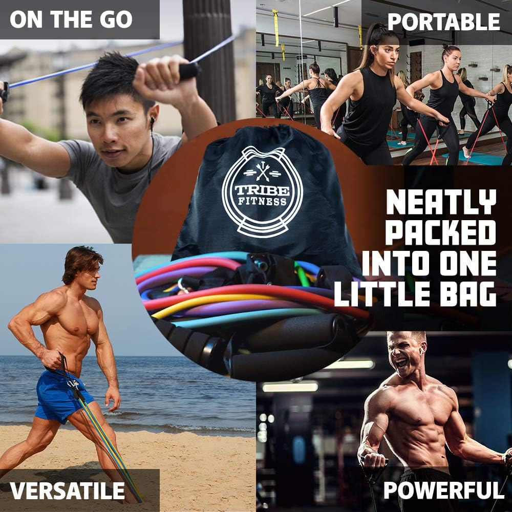 Skiennix Resistance Bands Set - Versatile Fitness Bands for Strength Training & Physical Therapy | All Levels