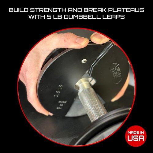 Micro Gainz Dumbbell Fractional 2.5 lb Weight Plate, Ideal for Micro Loading, (Choose Color) 2 Piece Fractional Weight Plates, Designed for Dumbbell Training, Made In USA (Black)