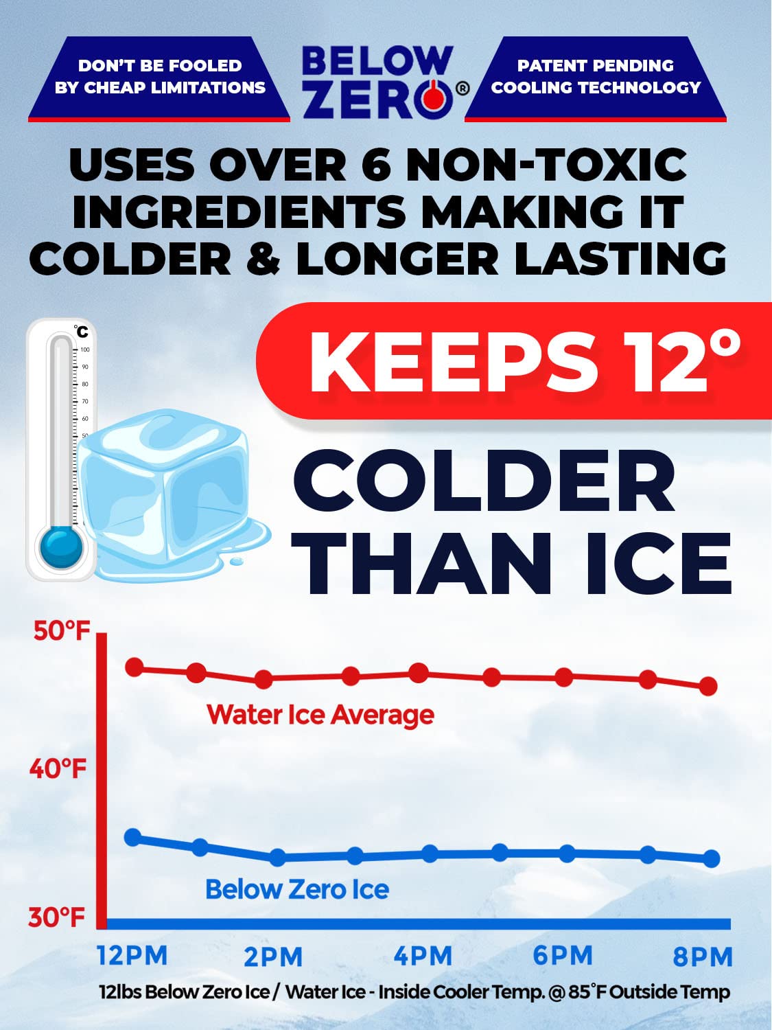 Below Zero Medium Reusable Ice Packs for Coolers – Long Lasting Cooler Ice Pack Blocks, Leak-Proof Freezer Packs for Camping, Lunch Boxes & Travel – Medium 10”x9” (2-Pack)
