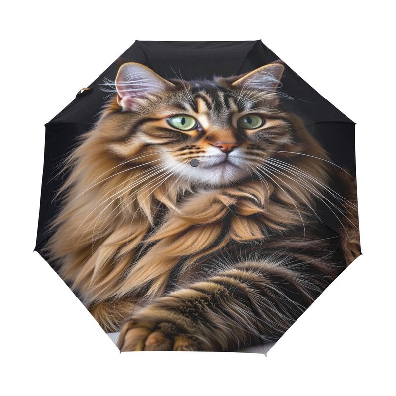 Bolaz Black Compact Travel Umbrella Maine Coon Cat Auto Open Close Umbrella Windproof Anti-UV