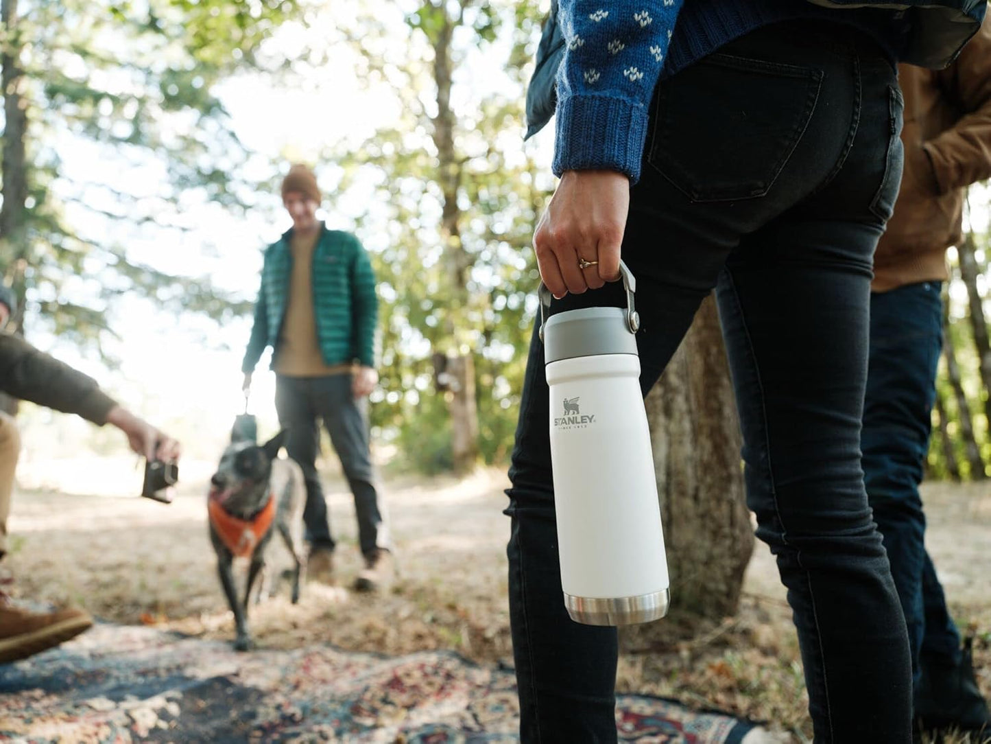 STANLEY IceFlow 22 oz Water Bottle - Insulated Stainless Steel with Built-In Straw | Lightweight & Leak Resistant | BPA-Free | Polar