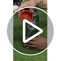 Insulated Gator-skin Water Bottle 32oz - Green
