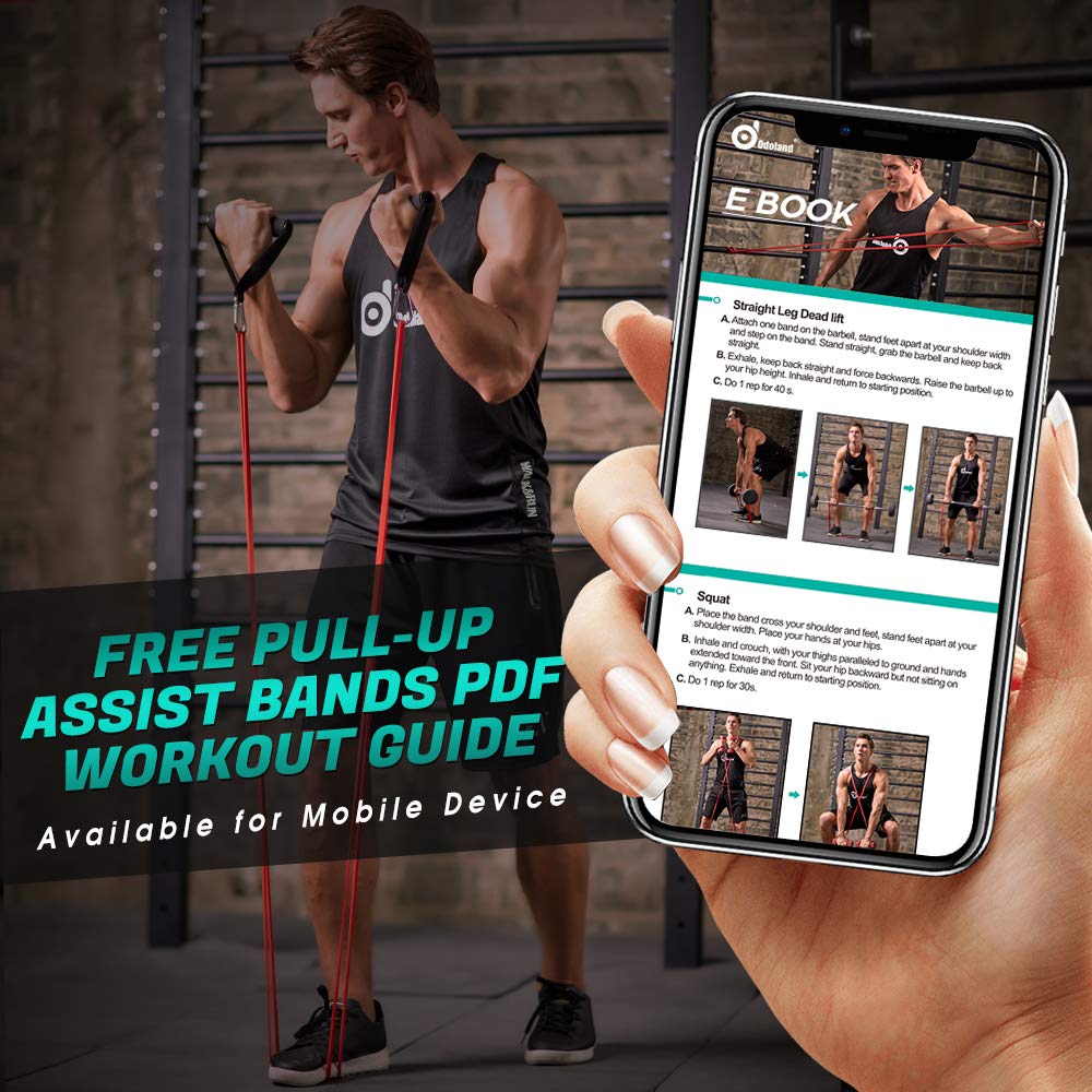 5 Packs Pull Up Assist Bands, Odoland Pull Up Straps, Resistance Bands with Door Anchor and Handles, Stretch Mobility, Powerlifting and Extra Durable Exercise Bands with eGuide
