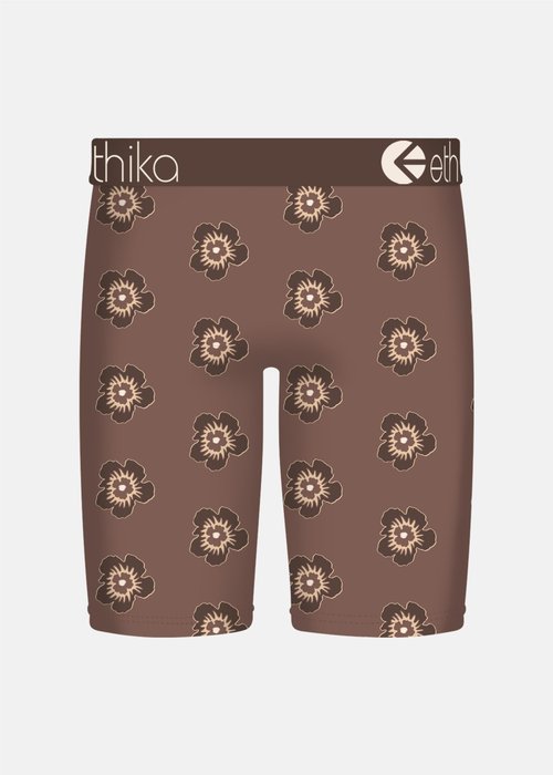 Ethika Boy's Staple Boxer Briefs, Soft 4-Way Stretch, No Ride-Up Fit - Island Provision (BRN, XL)