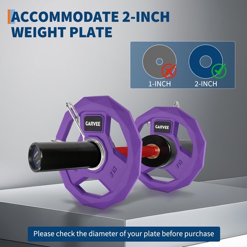 16" Olympi-c Dumbbell Bars With Spring Collars - Heavy Duty Loadable Handles For 2" Plates, Home Gym Weightlifting Equipment