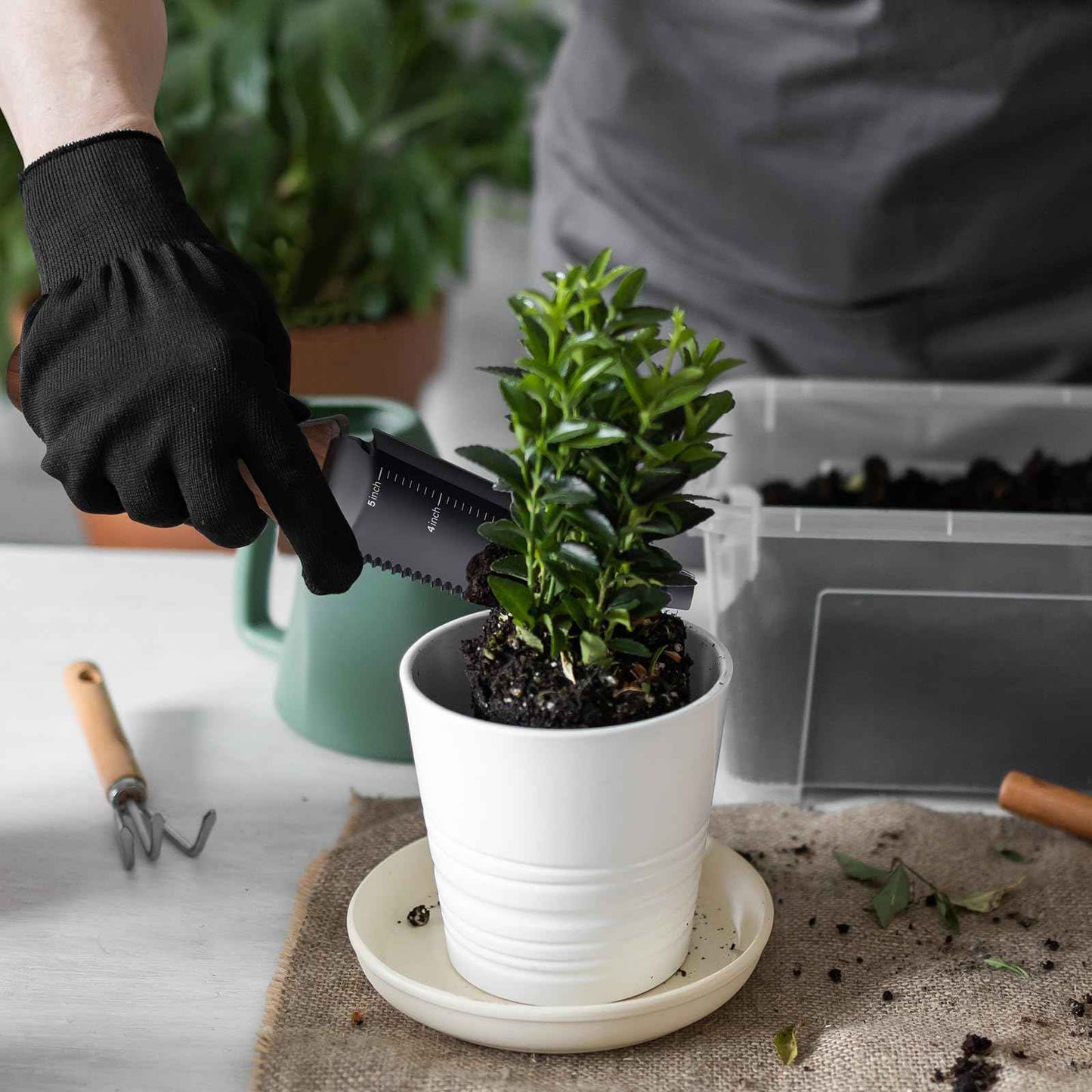 PERWIN Hori Hori Garden Knife, Garden Tools with Sheath, 6" Stainless Steel Blade with Cutting Edge, Full-Tang Walnut Ergonomic Wood Handle with Hanging Hole, Weeding, Planting, Digging…