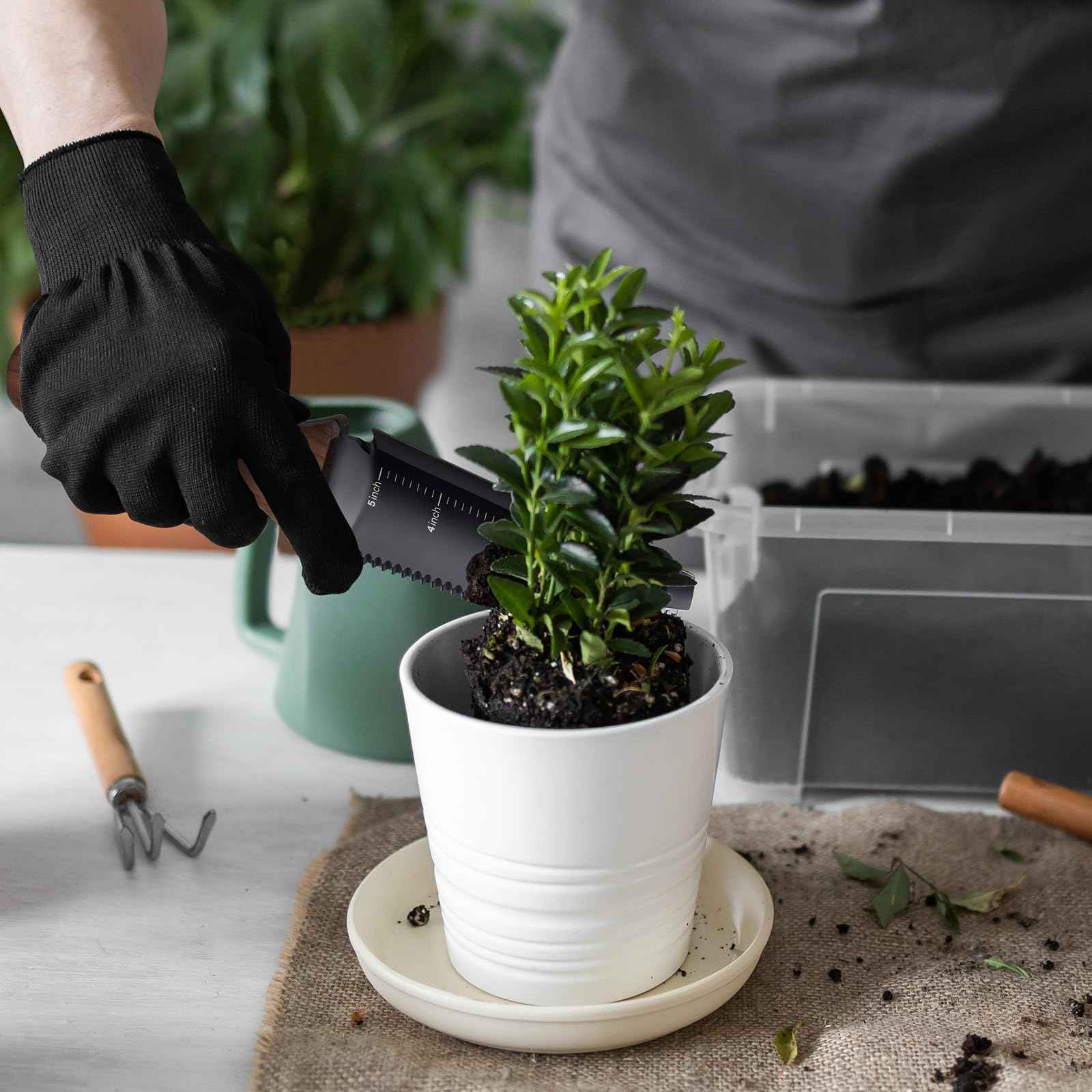 PERWIN Hori Hori Garden Knife, Garden Tools with Sheath, 6" Stainless Steel Blade with Cutting Edge, Full-Tang Walnut Ergonomic Wood Handle with Hanging Hole, Weeding, Planting, Digging…