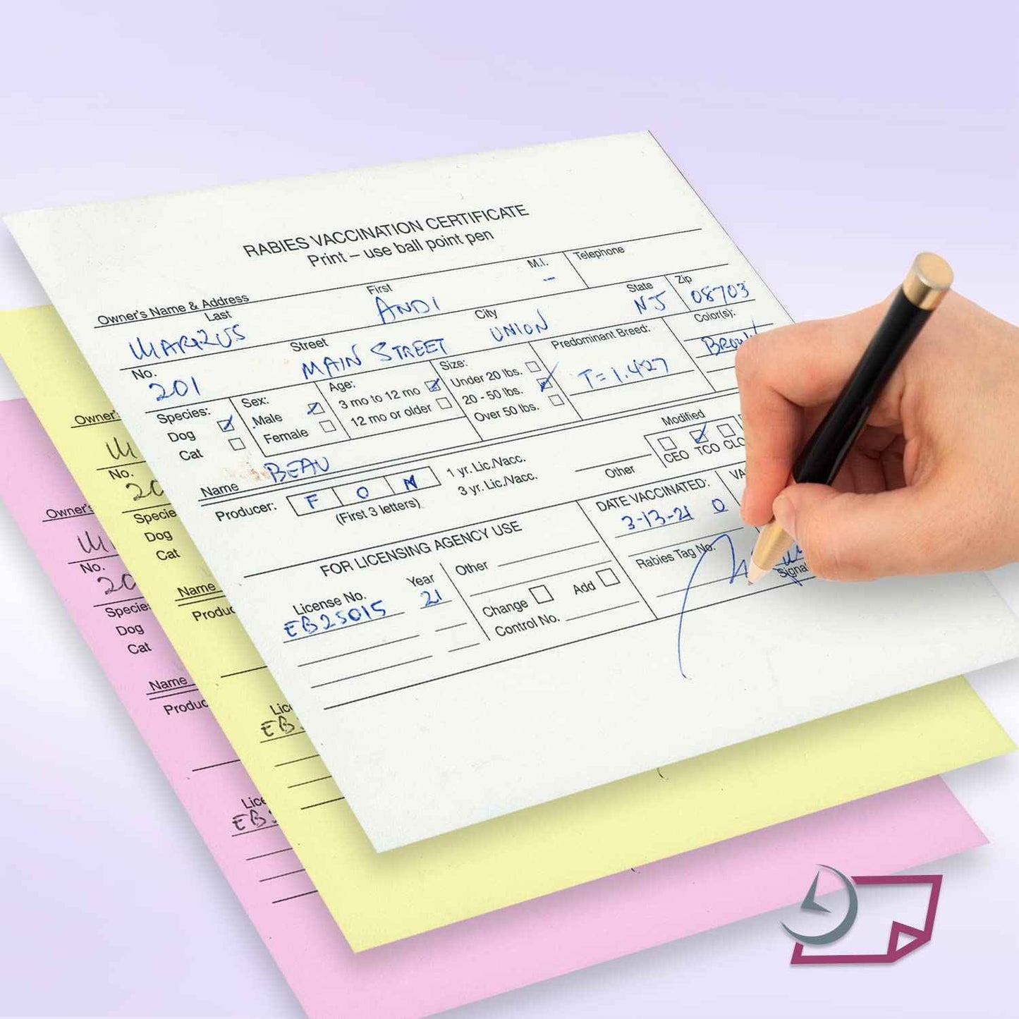 NextDayLabels - Veterinarian, 3-Part Rabies Vaccination Certificates for Cats & Dogs (100 Sets per Package)